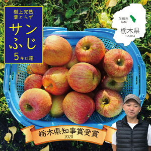 yӂ邳Ɣ[Łzy11{菇͂z[ʌ] ㊮nEt炸TӂbTӂ S ь t[c ʎ ʕ XC[c Yn Ȗ،Y Y s\ Iׂe 