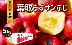 yӂ邳Ɣ[Łzy11{菇͂z[ʌ] ㊮nEt炸TӂbTӂ S ь t[c ʎ ʕ XC[c Yn Ȗ،Y Y s\ Iׂe 