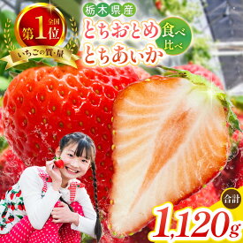 【ふるさと納税】[4月中旬より順次発送予定・秘密にしたい美味しさ] 朝獲れ新鮮とちおとめ、とちあいかの食べ比べセット 1.120g｜いちご 苺 フルーツ 果物 産地直送 関農園 先行予約 栃木県 矢板市