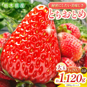 yӂ邳Ɣ[ŁzƂƂ 1120g [2025N12{菇\] lVN 閧ɂE VNb C`S  t[c ʕ Yn ƂƂ sY Ȗ، 