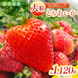 【ふるさと納税】大粒とちあいか 1120g (280g×4パック) [2026年4月中旬より順次発送予定] 朝摘み 新鮮｜いちご イチゴ 苺 フルーツ 果物 産地直送 とちあいか 矢板市産 栃木県 矢板市 先行予約