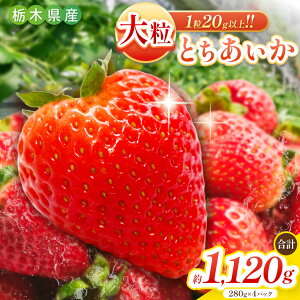 yӂ邳Ɣ[Łz嗱Ƃ 1120g (280g×4pbN) [2026N4{菇\] E VNb C`S  t[c ʕ Yn Ƃ sY Ȗ، s s\