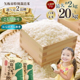 【ふるさと納税】[選べる定期便、グラム数] 矢板市特別栽培米 こしひかり にじのきらめき 玄米 白米 | 2kg 5kg 10kg 20kg | お米 米 こめ 白米 玄米 にじのきらめき コシヒカリ こしひかり 美味しい お弁当 選べる 環境 手間暇 ふるさと 納税 栃木県 矢板市