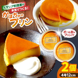 yӂ邳Ɣ[ŁzC^A{CłIz[^ɂȂIڂ̃v×2bXC[c  fU[g v ڂv P[L Ȗ، s