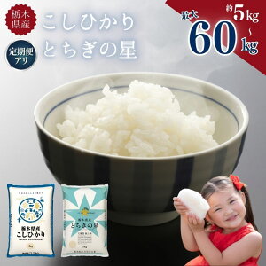 �y�ӂ邳�Ɣ[�Łz ���� �I�ׂ� ����� �����Ђ��� �R�V�q�J�� �Ƃ����̐� �ߘa7�N | 5kg 10kg | ����� 3�� 6��| ���� �� ���� ���� �������� �ӂ邳�� �Ȗ،� ��s �y�Ȗ،����ʕԗ�i�z �u����