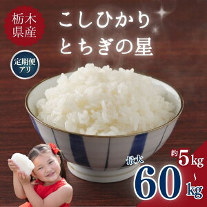 yӂ邳Ɣ[Łz  Iׂ  Ђ RVqJ Ƃ̐ ߘa7N | y  z y  zȖ،Y 5kg 10kg  3 6|      ӂ邳 Ȗ، 