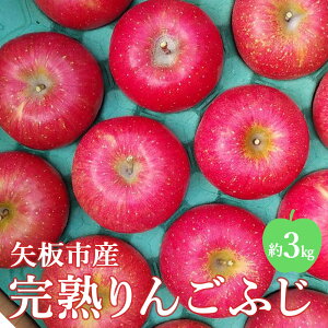 yӂ邳Ɣ[Łzy11{菇͂z[ʌ] sYn ӂ 3~10kgbS ь t[c ʎ ʕ XC[c Yn Ȗ،Y Y s\ Iׂe Ȗ، 