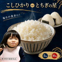 楽天市場】玄米 こしひかり 栃木の通販