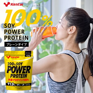 yӂ邳Ɣ[Łzyt[o[Iׂz100%SOY POWER PROTEIN Ȗ، ߐ{s veC ^pN AR 哤 r^~ ~l  N  