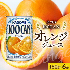 【ふるさと納税】 カゴメ 100CAN 160g × 6缶 濃縮還元 オレンジジュース 100％ ジュース 砂糖不使用 フルーツジュース かごめ 果汁 果肉 オレンジ おれんじ フルーツ 飲料 ドリンク 果物 みかんジュース お取り寄せ ギフト 差し入れ 缶ジュース KAGOME 送料無料 那須塩原市