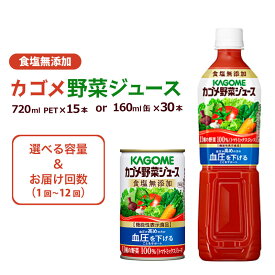 【ふるさと納税】 【選べる容量 回数】 カゴメ 野菜ジュース 無添加 栃木県 那須塩原市 飲料 ドリンク 野菜 ジュース ペットボトル 缶 11種 GABA リコピン トマト にんじん 定期便 お取り寄せ 送料無料