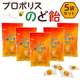 【ふるさと納税】 プロポリスのど飴 5袋 栃木県 那須塩原市 プロポリス のど飴 あかしや蜂蜜 かりんエキス 直火炊き 砂糖不使用 香料不使用 着色料不使用 ジッパー付き 喉 対策 飴 お取り寄せ 送料無料
