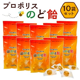 【ふるさと納税】 プロポリスのど飴 10袋 栃木県 那須塩原市 プロポリス のど飴 菓子 抗菌力 あかしや蜂蜜 かりんエキス 直火炊き 砂糖不使用 香料不使用 着色料不使用 ジッパー付き 喉 対策 飴 お取り寄せ 送料無料
