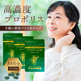 【ふるさと納税】 高濃度プロポリス粒 3カ月分 100粒×3袋 栃木県 那須塩原市 サプリメント プロポリス 粒タイプ ダブレット ローヤルゼリー 花粉 はちみつ イチョウ葉 健康食品 お取り寄せ 送料無料