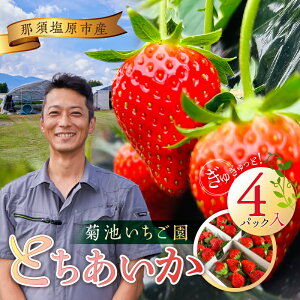 �y�ӂ邳�Ɣ[�Łz �e�r�������� �Ƃ������� �ߐ{�����s�Y 4�p�b�N���� �Ȗ،� �ߐ{�����s �ʕ� �t���[�c ������ ���Y �I���W�i�� �i�� �Ö� �ʎ� �ʓ� ���荂�� �G�� �{ �r�^�~�� ������ 