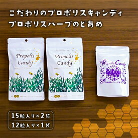 【ふるさと納税】こだわりのプロポリスキャンディ×2袋とプロポリスハーブのどあめ 栃木県 那須塩原市 自社製プロポリス はちみつ ブレンド マイルド キャンディ 21種類のハーブエキス あめ 送料無料