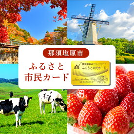 【ふるさと納税】那須塩原市 ふるさと市民カード 栃木県 那須塩原市 優待 特典 観光 土産店 宿泊施設 食事処 レジャー施設 サービス クーポン 割引 チケット 送料無料
