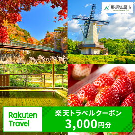 【ふるさと納税】楽天限定 栃木県那須塩原市の対象施設で使える 楽天トラベルクーポン 寄附額10,000円 旅行 宿泊 旅行券 宿泊券 ホテル 旅館 3,000円分 温泉 観光 グルメ レジャー リゾート チーズ 和牛 牛乳 フルーツ アクティビティ クーポン