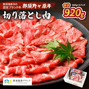 yӂ邳Ɣ[Łzߐ{샖 ؂藎Ƃ 460g×2pbN Ȗ، ߐ{s JASF_  uh Hi Y j a LO  O  J[ V`[ 