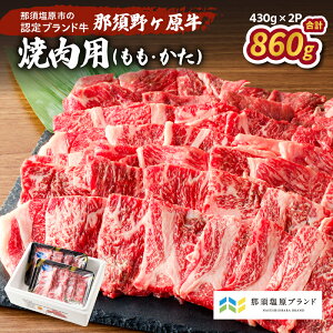 yӂ邳Ɣ[Łz ߐ{샖 ēp 430g×2pbN Ȗ، ߐ{s JASF_ Hi Y  uh     ē BBQ o[xL[  O 