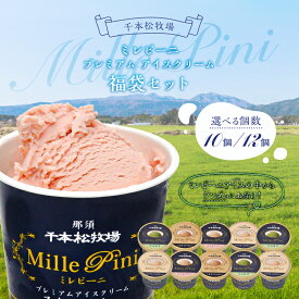 【ふるさと納税】【選べる個数】福袋セット【千本松牧場】栃木県 那須塩原市 アイスクリーム ミルク お菓子 おやつ スイーツ デザート 詰め合わせ 乳製品 牛乳 生乳 国産 高品質 送料無料