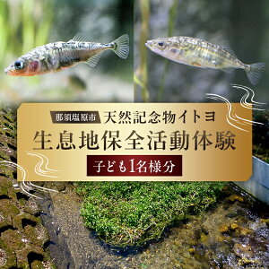 yӂ邳Ɣ[Łzߐ{sVRLOCg ̕߁EnۑŠyqǂ1lz Ȗ، ߐ{s Cg ̌  ۑS KCh R  Ŋ뜜 VRLO lC`[
