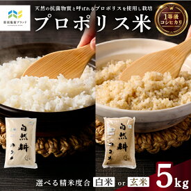 【ふるさと納税】【選べる精米度合】プロポリス米(1等級コシヒカリ) 5kg【令和7年度産米】【那須塩原ブランド認定品】 米 栃木県 那須塩原市 天然の抗菌物質 商標登録済 特産 粒が大きい 真空パック ごはん 送料無料
