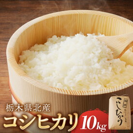 【ふるさと納税】【令和7年度産】栃木県北産コシヒカリ 10kg入【栃木県共通返礼品】 栃木県 那須塩原市 米 お米 ブランド米 おにぎり ごはん 白米 国産米 コシヒカリ 食品 精米 送料無料
