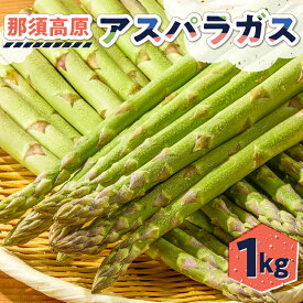 【ふるさと納税】 那須高原アスパラガス 栃木県 那須塩原市 野菜 アスパラガス ビタミン 新鮮 アスパラ 朝どれ 旬 とれたて お取り寄せ グルメ 産地直送 春 青果 送料無料