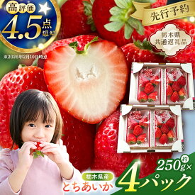 【ふるさと納税】 【先行受付】栃木県産　とちあいか約250g×4パック【栃木県共通返礼品】【2027年1月下旬～発送予定】 栃木県 那須塩原市 いちご とちあいか 国産 オリジナル 品種 甘い 香り 産地直送 果汁 ブランド フルーツ 高級 けずり イチゴ 果物 栃木 那須 塩原市