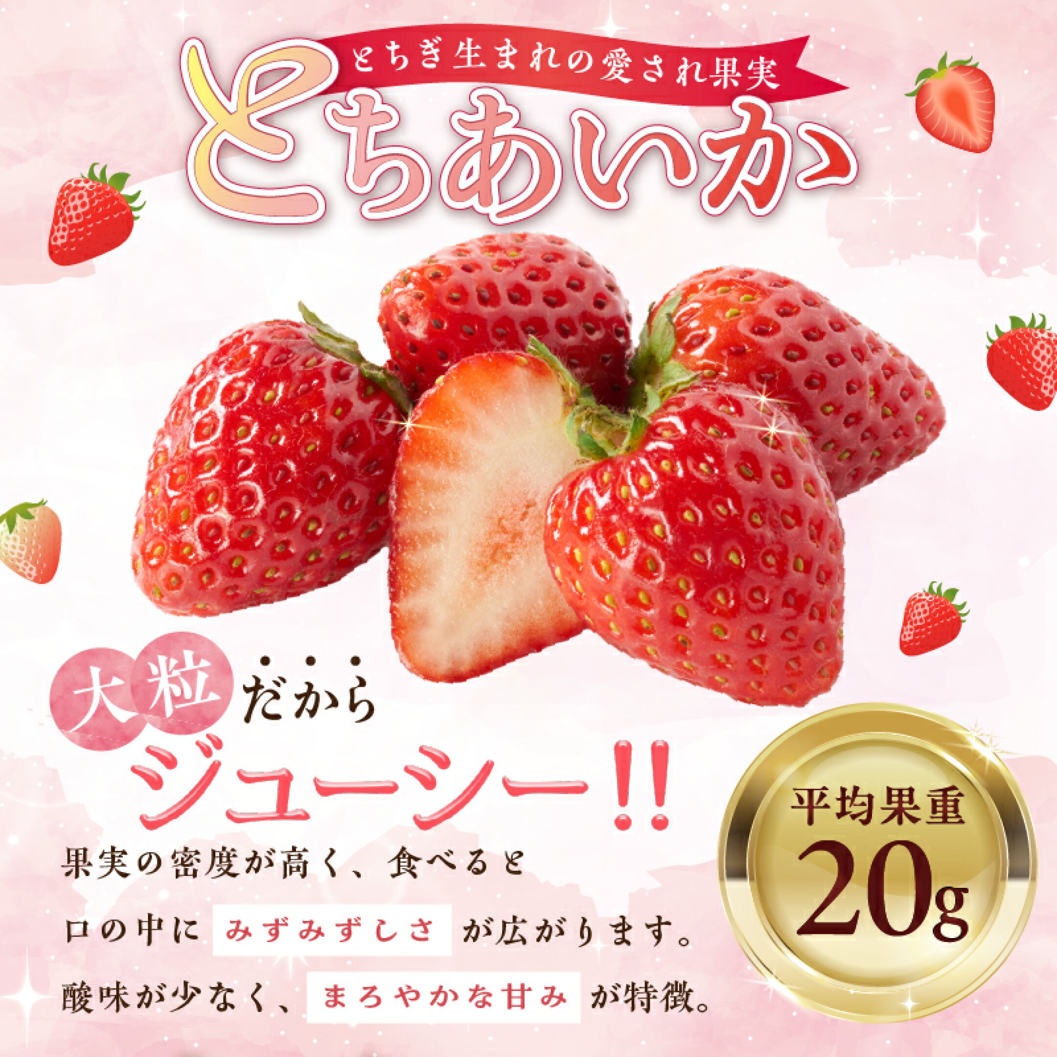 栃木県産 とちあいか約250g×4パック 