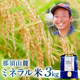 【ふるさと納税】 【令和7年産米】那須山麓ミネラル米　3kg 栃木県 那須塩原市 お米 米 コシヒカリ ブランド米 ごはん おにぎり 白米 送料無料