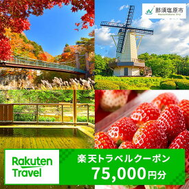 【ふるさと納税】楽天限定 栃木県那須塩原市の対象施設で使える 楽天トラベルクーポン 寄附額250,000円 旅行 宿泊 旅行券 宿泊券 ホテル 旅館 75,000円分 温泉 観光 グルメ レジャー リゾート チーズ 和牛 牛乳 フルーツ アクティビティ クーポン
