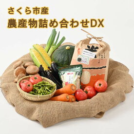 【ふるさと納税】さくら市産の農産物詰め合わせDX≪野菜 旬の野菜 米 送料無料≫