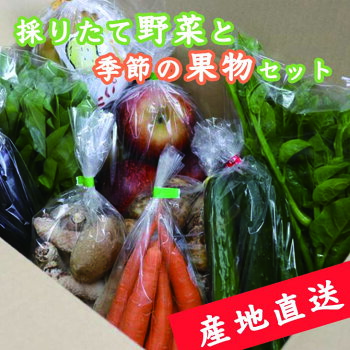 【産地直送】採りたて野菜セット