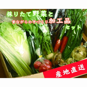 【産地直送】採りたて野菜と昔ながらの手づくり加工品セット