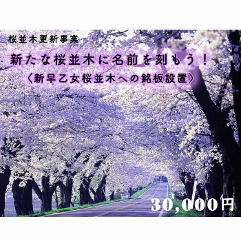 返礼品画像