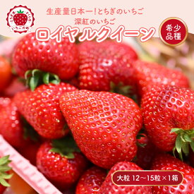 【ふるさと納税】深紅のいちご 『ロイヤルクイーン』 大粒 12粒～15粒×1箱 先行予約 希少価値の高いイチゴの女王！ 深紅のスイートベリー 58ロハスファーム ｜いちご イチゴ 苺 栃木県 果物 フルーツ 新鮮 贈答 ギフト 高級 ※2026年1月中旬～5月中旬頃に順次発送予定