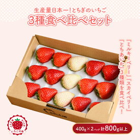 【ふるさと納税】《数量限定》満足3種食べ比べセット（ミルキーベリー、スカイベリー、とちあいか）400g×2パック 800g｜いちご イチゴ 苺 先行予約 栃木県 果物 くだもの フルーツ 新鮮 贈答 ギフト 高級 食べ比べ ※2026年2月上旬～4月中旬頃に順次発送予定