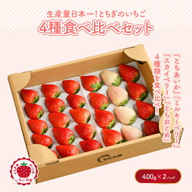 【ふるさと納税】《数量限定》大満足4種食べ比べセット（とちおとめ、ミルキーベリー、とちあいか、スカイベリー）400g×2パック 800g ｜いちご イチゴ 苺 先行予約 栃木県 果物 くだもの フルーツ 新鮮 贈答 ギフト 高級 食べ比べ ※2026年2月上旬～4月中旬頃に順次発送予定