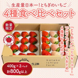 �y�ӂ邳�Ɣ[�Łz�s���ʌ���t�喞��4��H�ה�׃Z�b�g�i�Ƃ����Ƃ߁A�~���L�[�x���[�A�Ƃ��������A�X�J�C�x���[�j400g×2�p�b�N 800g �b������ �C�`�S � ��s�\�� �Ȗ،� �ʕ� �������� �t