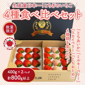 【ふるさと納税】《数量限定》大満足4種食べ比べセット（とちおとめ、ミルキーベリー、とちあいか、スカイベリー）400g×2パック 800g ｜いちご イチゴ 苺 先行予約 栃木県 果物 くだもの フルーツ 新鮮 贈答 ギフト 高級 食べ比べ※2026年2月上旬～4月中旬頃に順次発送予定