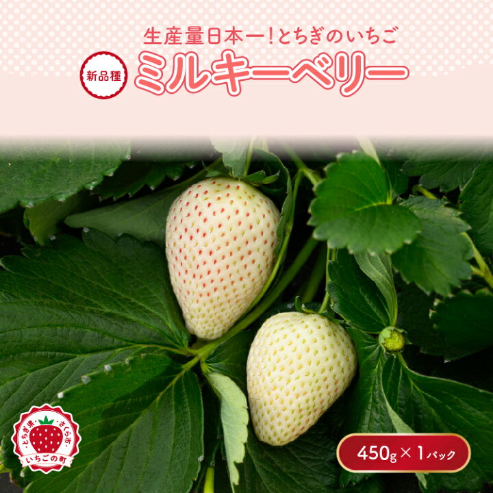 楽天市場】【ふるさと納税】《数量限定》【先行予約】いちご ミルキー  