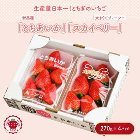 【ふるさと納税】《数量限定》【先行予約】いちご とちあいか・スカイベリーセット 270g×4パック（1.08kg以上） ｜いちご イチゴ 苺 先行予約 栃木県 果物 フルーツ とちあいか スカイベリー 新鮮 贈答 ギフト 高級 食べ比べ ※2026年1月上旬～4月中旬頃に順次発送予定