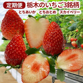 【ふるさと納税】【定期便】栃木のいちご3銘柄（とちあいか　とちおとめ　スカイベリー）定期便　400g×1パック　※2026年1月上旬頃から1ヶ月毎1種類ずつ順次発送予定