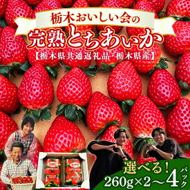 【ふるさと納税】＼選べる内容量／栃木おいしい会のいちご（とちあいか）260g×2パック（520g）・260g×4パック（1040g）｜栃木県共通返礼品 栃木県産 ※離島への配送不可 ※2026年1月上旬～4月下旬頃に順次発送予定