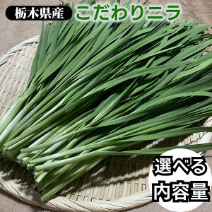 yӂ邳Ɣ[Łz_Iׂeʁ^Ȗ،Yj100g×10 20 30 50 100 b s ɂ B ؁@Y