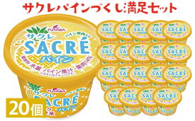 【ふるさと納税】サクレパインづくし満足セット　20個｜アイス かき氷 シャーベット デザート※着日指定不可※離島への配送不可