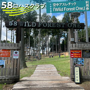 yӂ邳Ɣ[Łz58nXNu@󒆃AX`bNwWild Forest Onexp