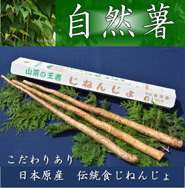 【ふるさと納税】さくらブランド認証品　えみの自然薯　2～3本（2.3kg以上）山芋 とろろ 国産 健康※2023年11月下旬頃より順次発送予定